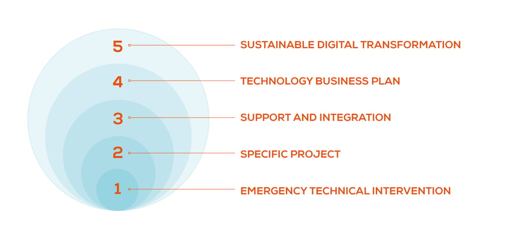 Digital-Transformation-Levels